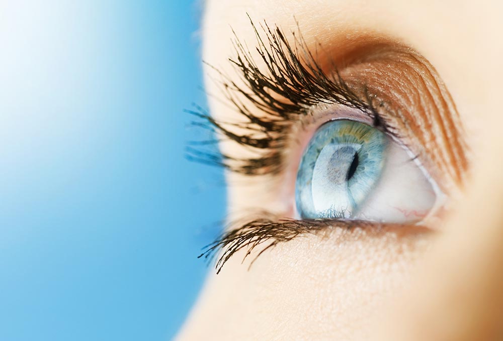 Tampa Surgery Center in Carrollwood