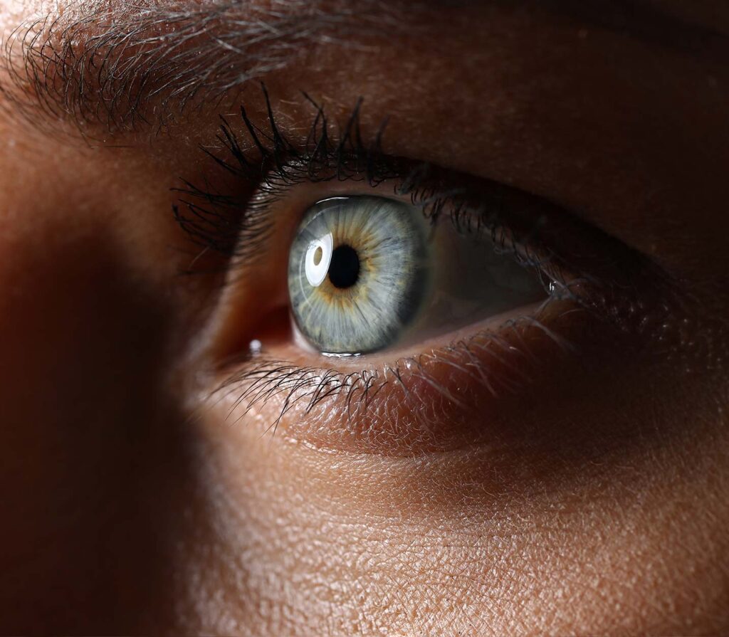 Cornea